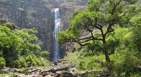 Cachoeira Casca Danta - 186 metros de queda livre